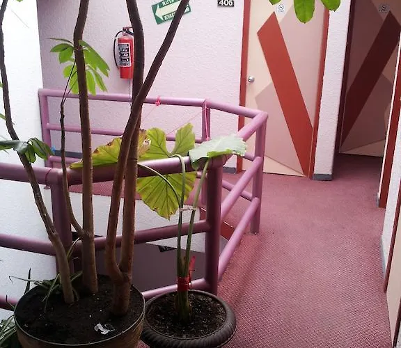 Ibiza Hotel