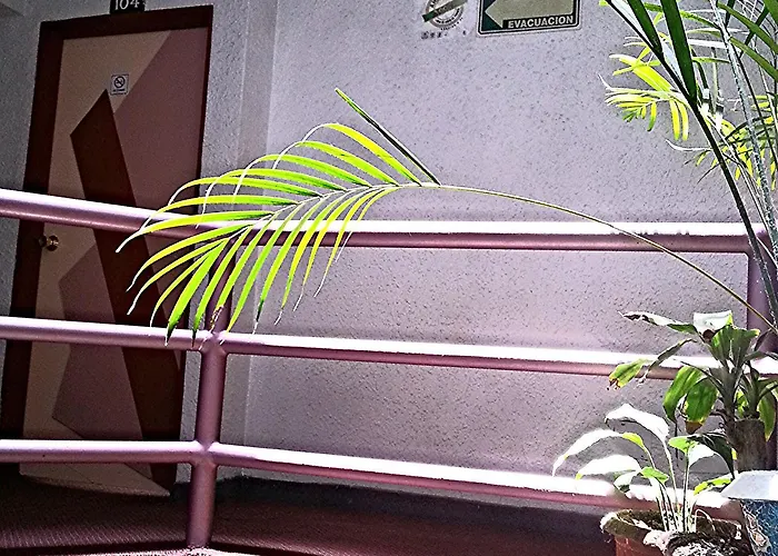 Ibiza Hotel